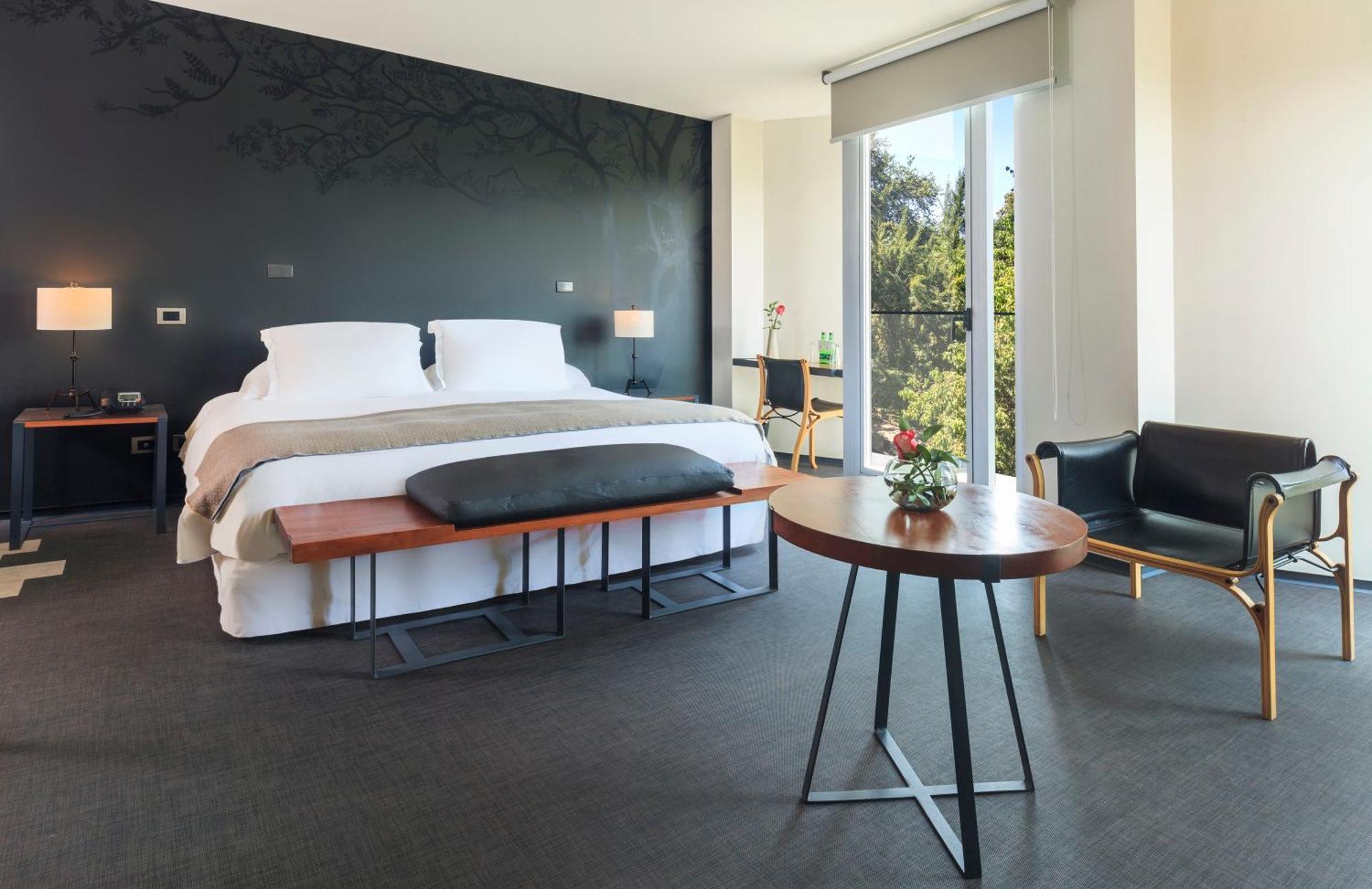 Ismael Hotel Santiago del Cile